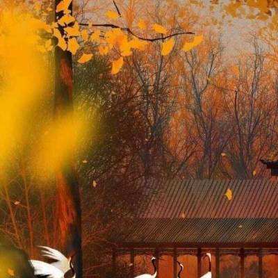 虎将三国破解版下载